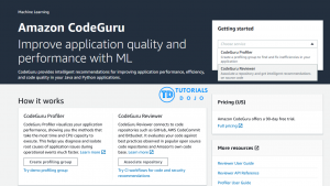 Securing Your Repositories with AWS CodeGuru: How Machine Learning Can Improve Your Code Quality and Security