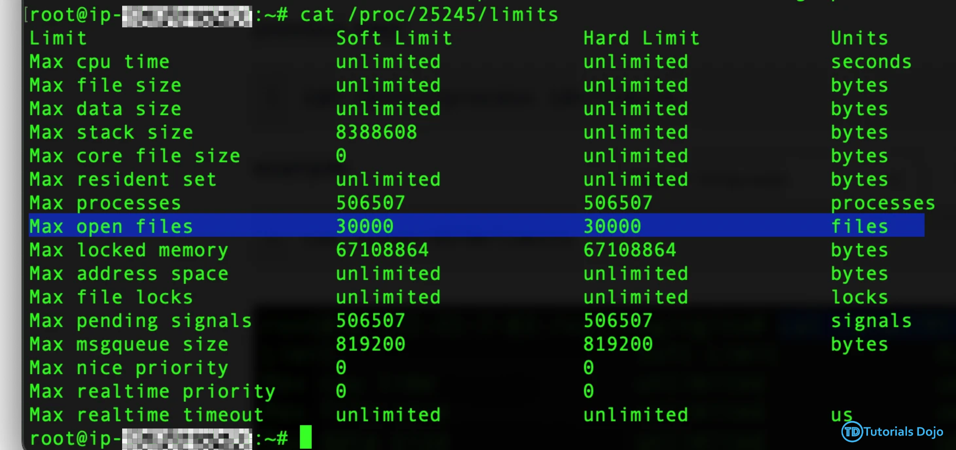 Solving HTTP 500 Errors by Managing File Descriptor Limits Image 8