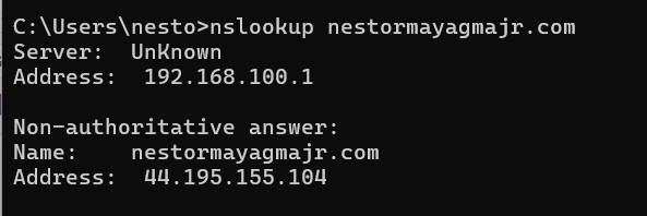 dns propagation