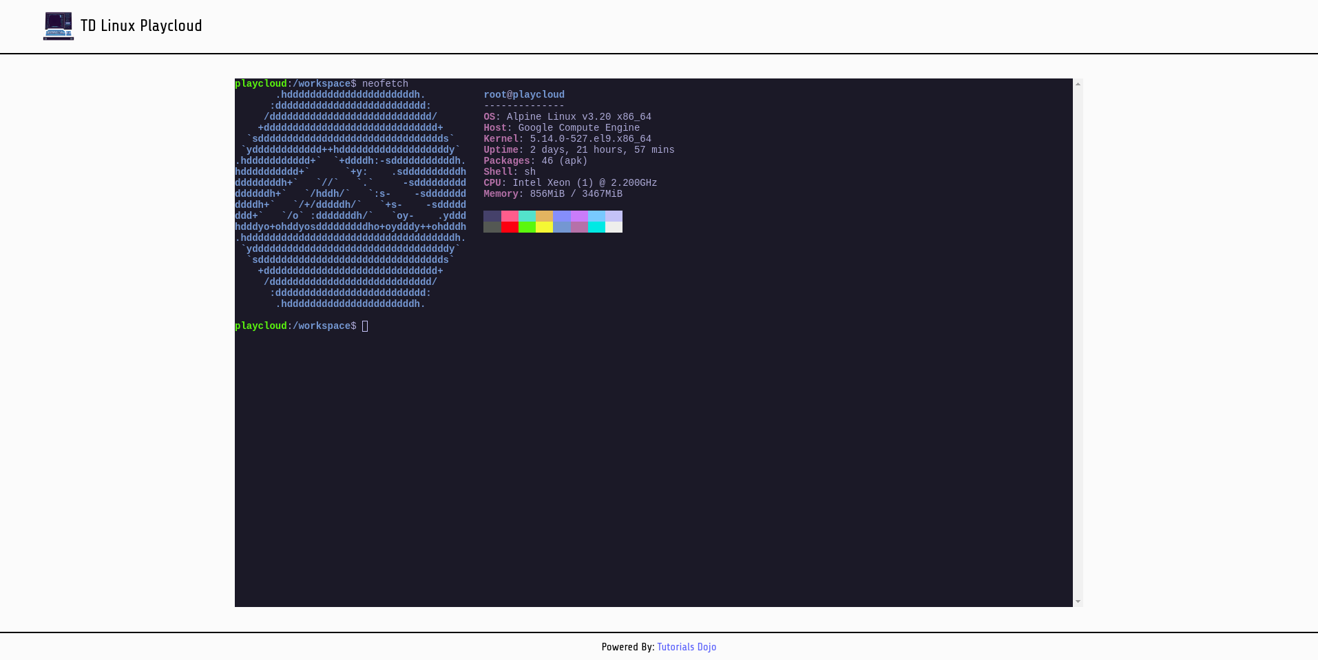 Terminal Demo