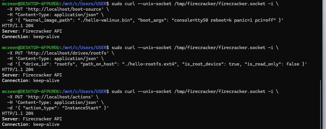 Configure and Start the MicroVM