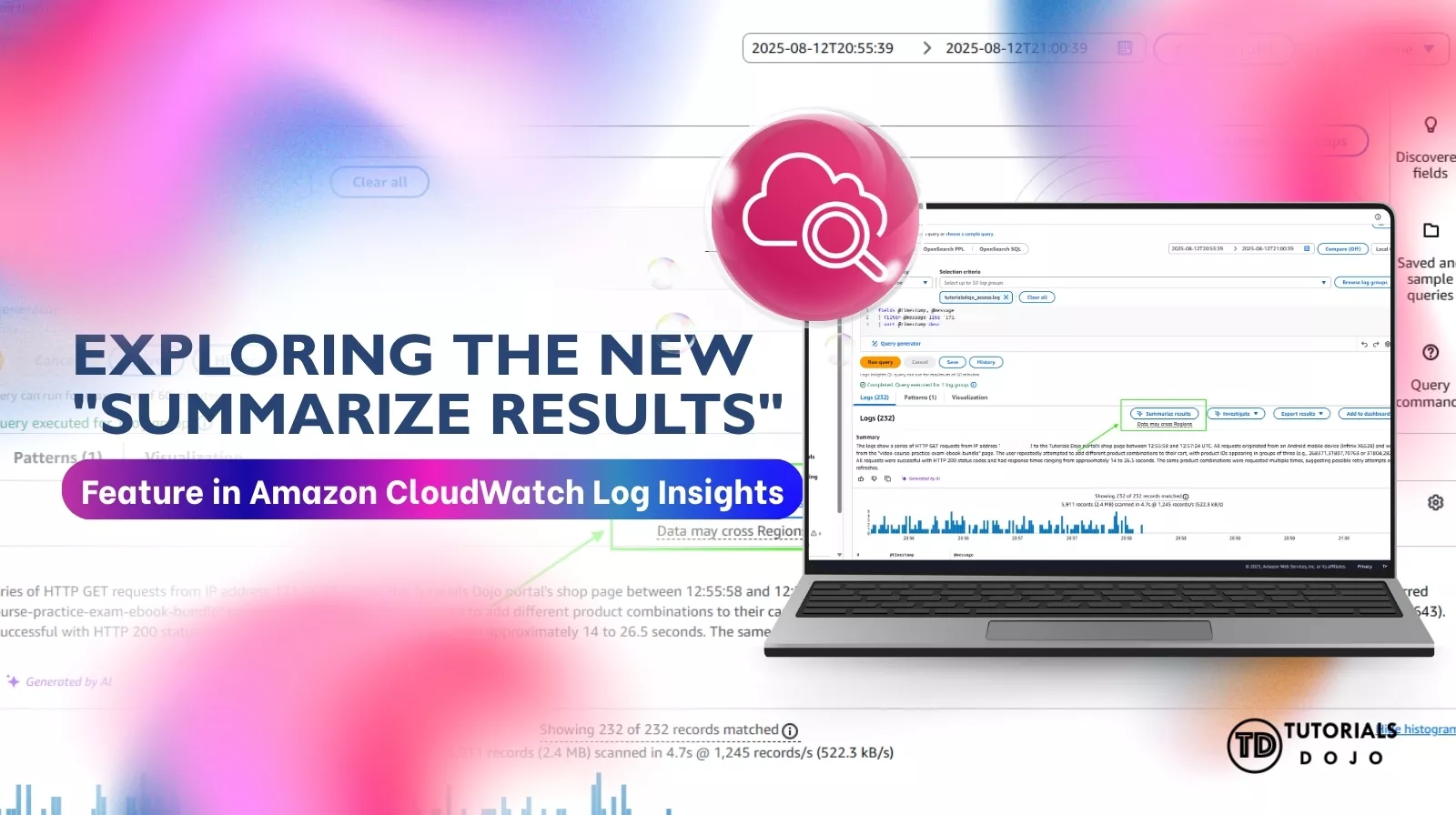 Exploring the New Summarize Results