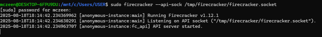 run firecracker in screen session
