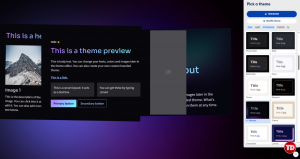 Picking a theme