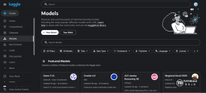 kaggle models