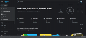 kaggle open new notebook