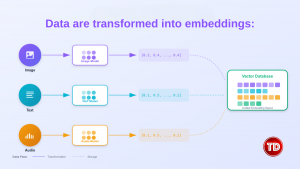 Vector Databases Data Embedding
