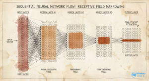 Receptive field of a convolution operation